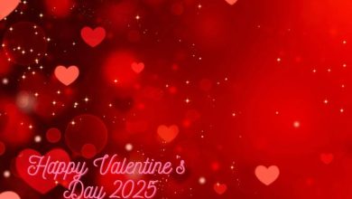 14 February 2025 valentine day Wishes Message SMS Status