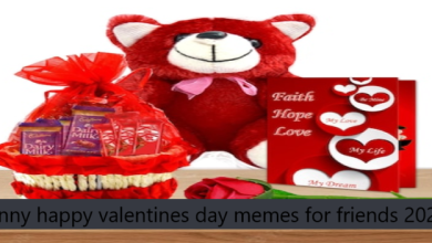 Funny happy valentines day memes for friends 2025