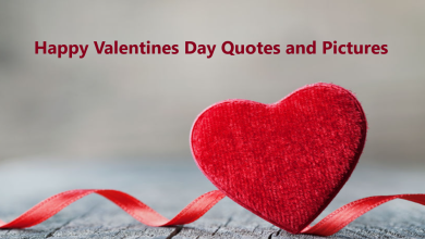 Happy Valentines Day Quotes and Pictures 2025