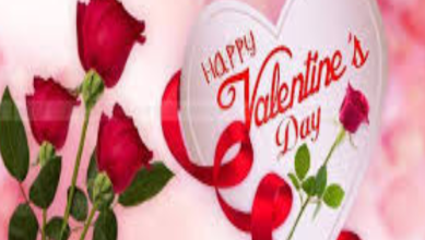 Happy valentine's day 2025 messages to my girlfriend