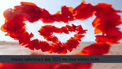 Happy valentine's day 2025 my love wishes in Hindi