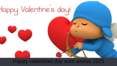 Happy valentines day aunt wishes 2025