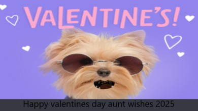 Happy valentines day aunt wishes 2025