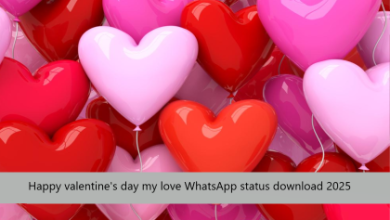 Happy valentine's day my love WhatsApp status download 2025