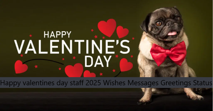 Happy valentines day staff 2025 Wishes Messages Greetings Status