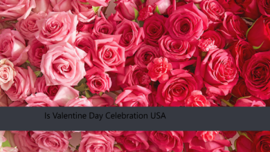 Is Valentine Day Celebration USA