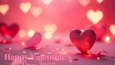 Valentines Day 2025 Bangla Natok Download